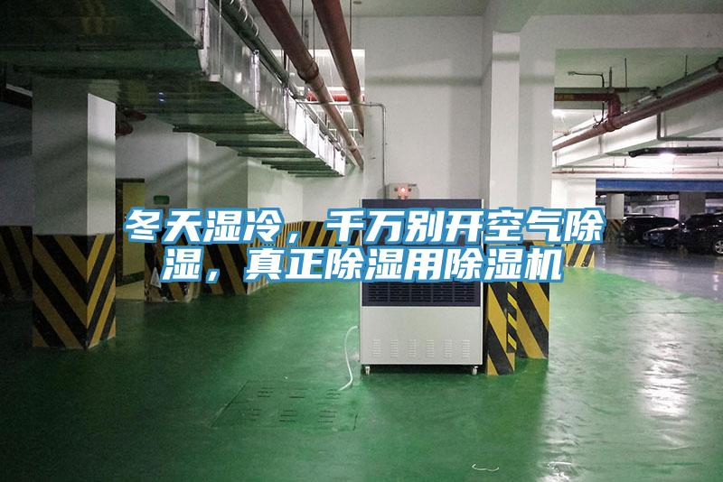 冬天湿冷，千万别开空气除湿，真正除湿用MR.好色破解版