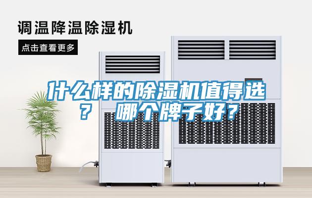 什么样的MR.好色破解版值得选？ 哪个牌子好？