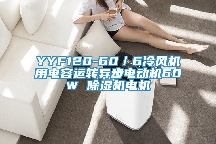 YYF120-60／6冷风机用电容运转异步电动机60W MR.好色破解版电机