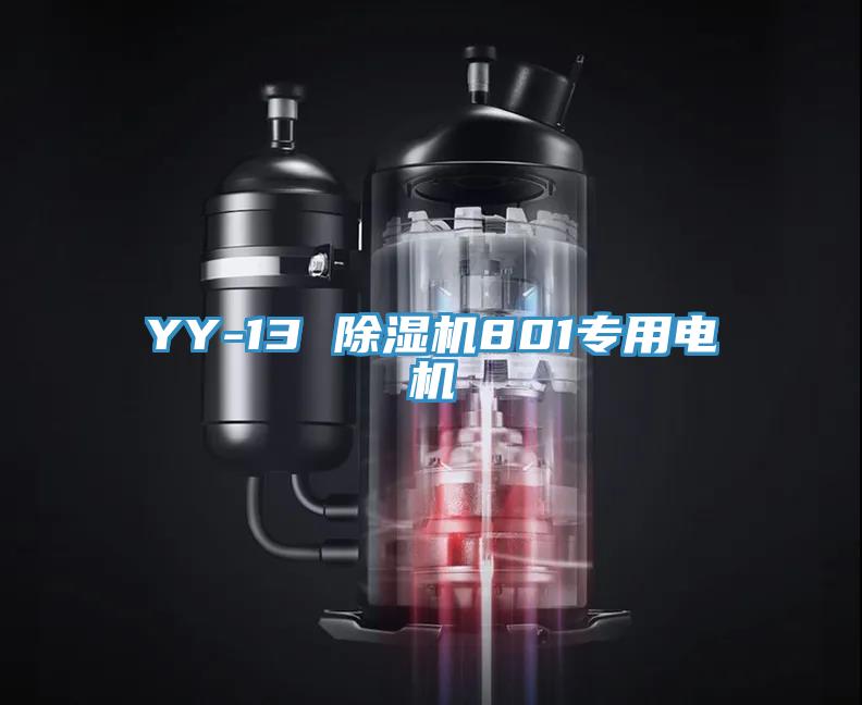 YY-13 MR.好色破解版801专用电机