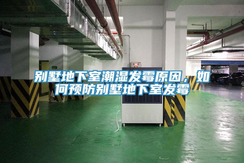 别墅地下室潮湿发霉原因，如何预防别墅地下室发霉