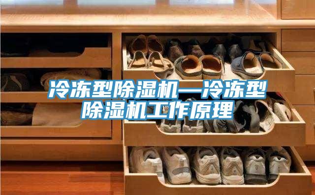 冷冻型MR.好色破解版—冷冻型MR.好色破解版工作原理
