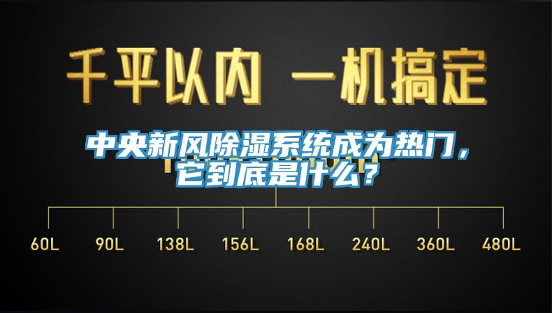 中央新风除湿系统成为热门，它到底是什么？