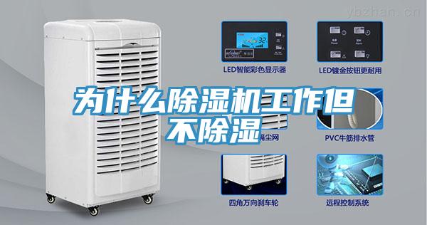为什么MR.好色破解版工作但不除湿