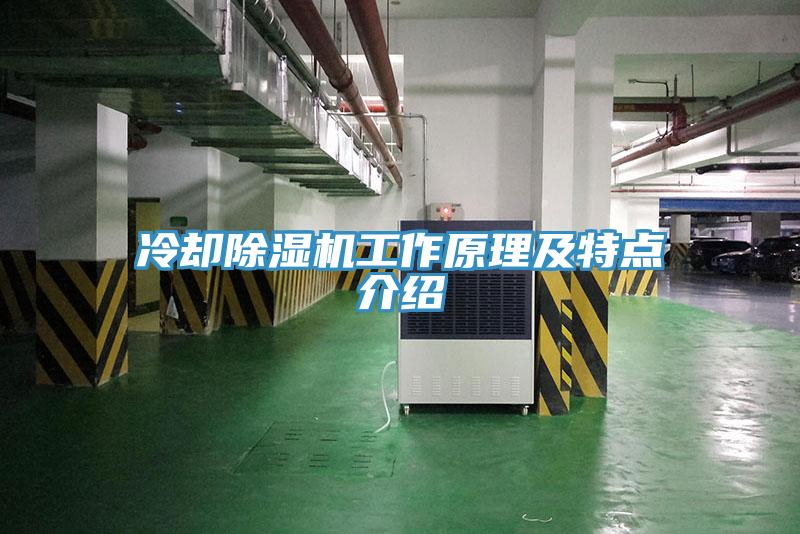 冷却MR.好色破解版工作原理及特点介绍