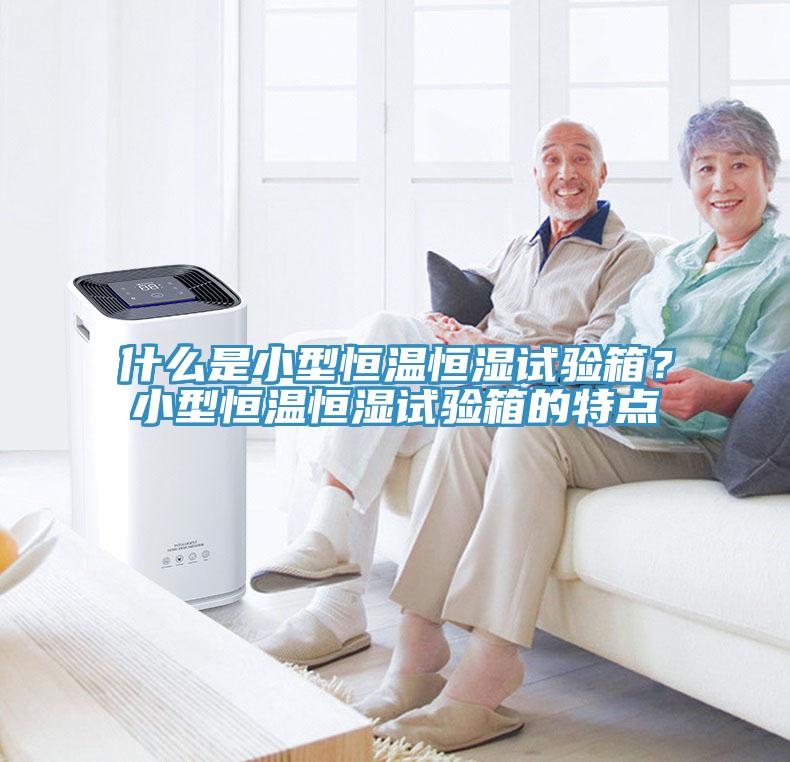 什么是小型恒温恒湿试验箱？小型恒温恒湿试验箱的特点