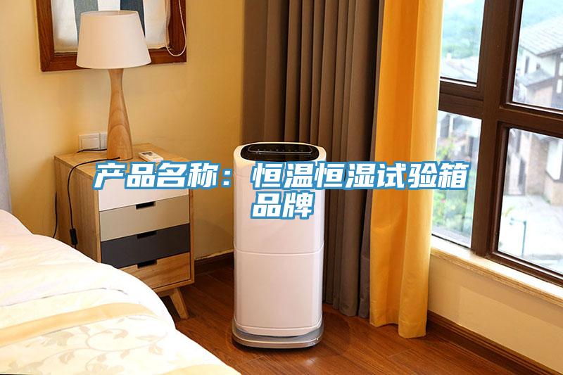 产品名称：恒温恒湿试验箱品牌