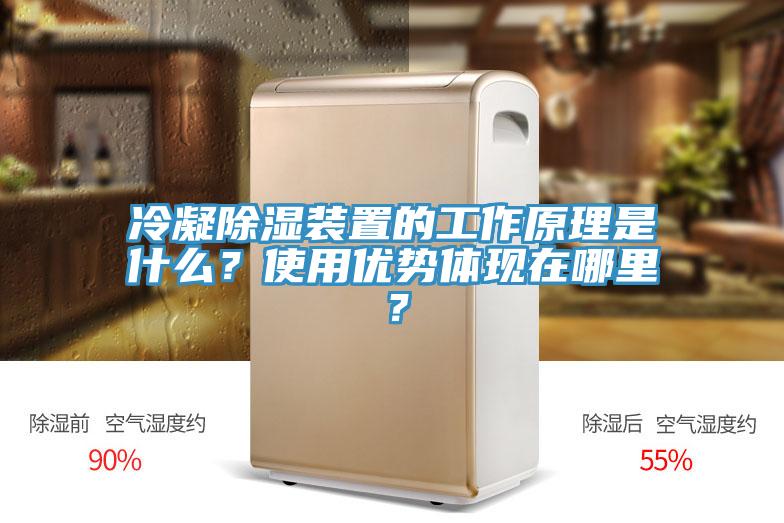 冷凝除湿装置的工作原理是什么？使用优势体现在哪里？