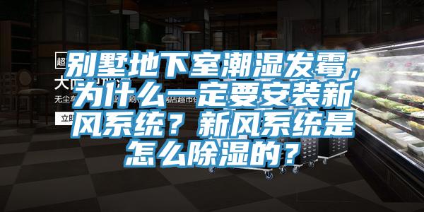 别墅地下室潮湿发霉，为什么一定要安装新风系统？新风系统是怎么除湿的？