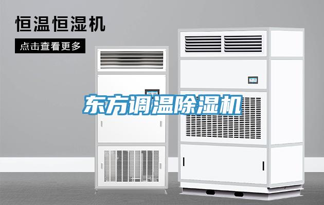 东方调温MR.好色破解版