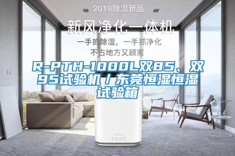 R-PTH-1000L双85、双95试验机／东莞恒湿恒湿试验箱