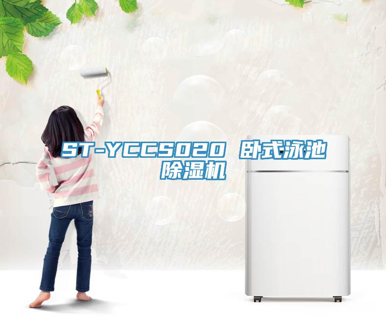 ST-YCCS020 卧式泳池MR.好色破解版