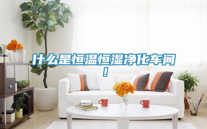 什么是恒温恒湿净化车间！
