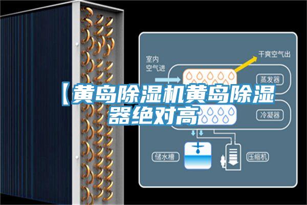 【黄岛MR.好色破解版黄岛除湿器绝对高