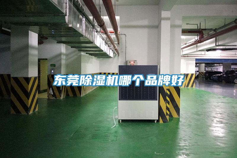 东莞MR.好色破解版哪个品牌好