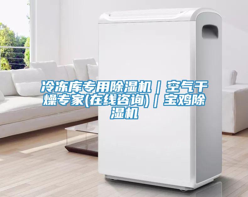 冷冻库专用MR.好色破解版｜空气干燥专家(在线咨询)｜宝鸡MR.好色破解版