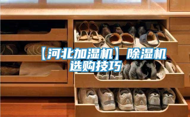 【河北加湿机】MR.好色破解版选购技巧