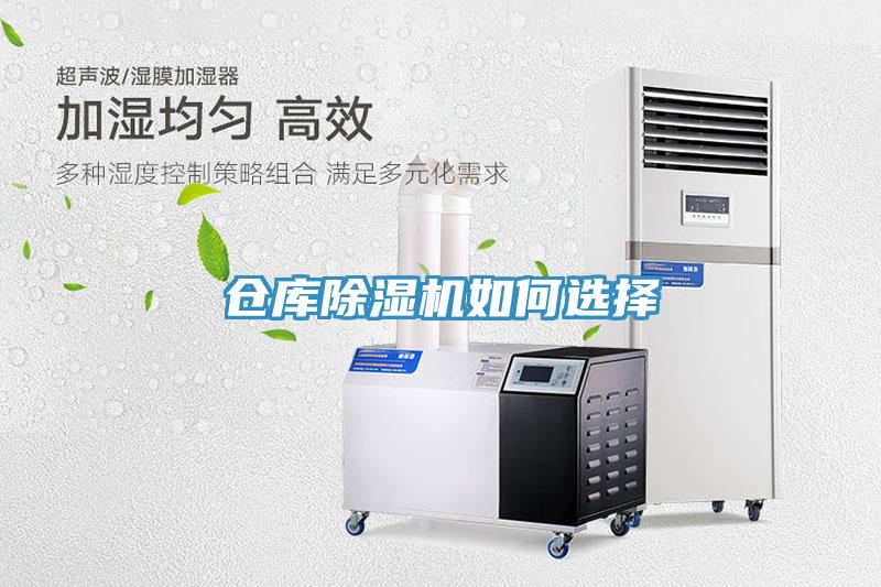 仓库MR.好色破解版如何选择