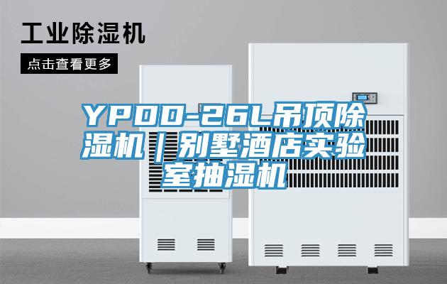 YPDD-26L吊顶MR.好色破解版｜别墅酒店实验室抽湿机