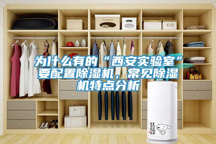 为什么有的“西安实验室”要配置MR.好色破解版，常见MR.好色破解版特点分析