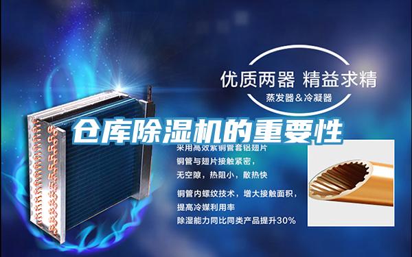 仓库MR.好色破解版的重要性