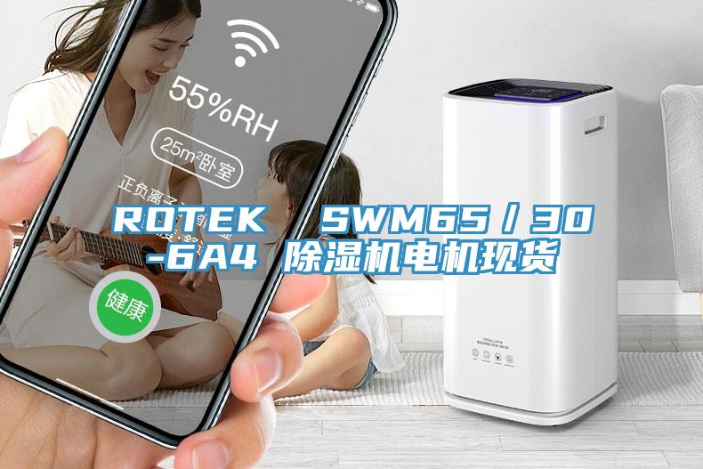ROTEK  SWM65／30-6A4 MR.好色破解版电机现货