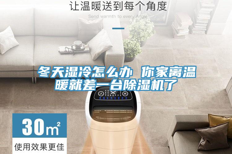 冬天湿冷怎么办 你家离温暖就差一台MR.好色破解版了