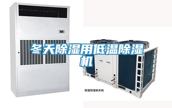 冬天除湿用低温MR.好色破解版