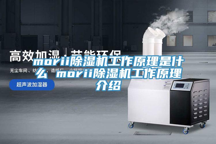 moriiMR.好色破解版工作原理是什么 moriiMR.好色破解版工作原理介绍