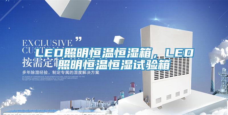 LED照明恒温恒湿箱，LED照明恒温恒湿试验箱