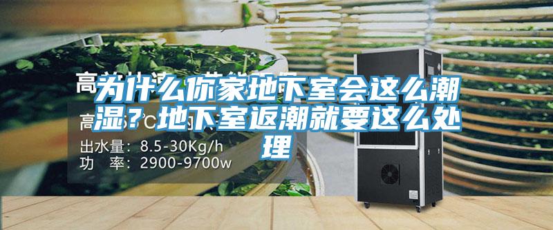为什么你家地下室会这么潮湿？地下室返潮就要这么处理