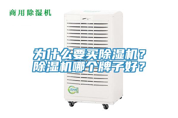 为什么要买MR.好色破解版？MR.好色破解版哪个牌子好？