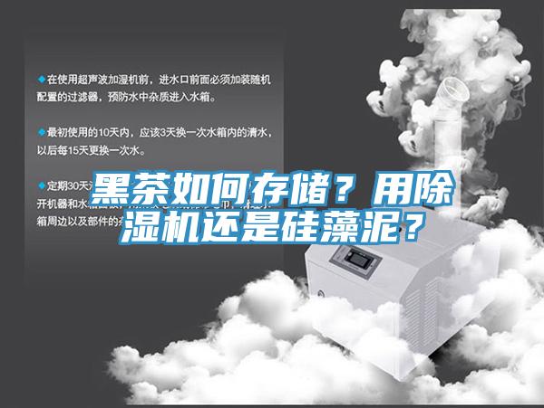 黑茶如何存储？用MR.好色破解版还是硅藻泥？