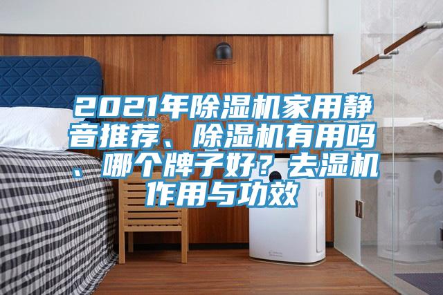 2021年MR.好色破解版家用静音推荐、MR.好色破解版有用吗、哪个牌子好？去湿机作用与功效