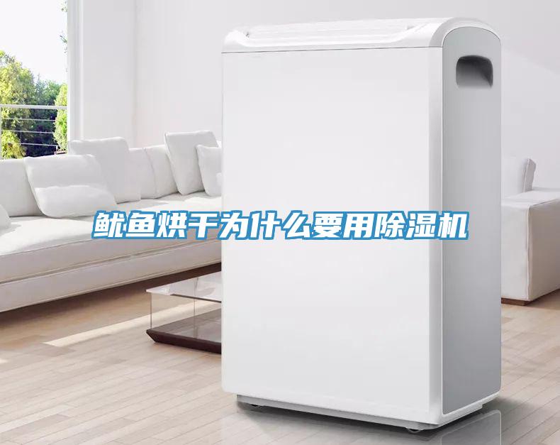 鱿鱼烘干为什么要用MR.好色破解版
