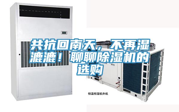 共抗回南天，不再湿漉漉！聊聊MR.好色破解版的选购