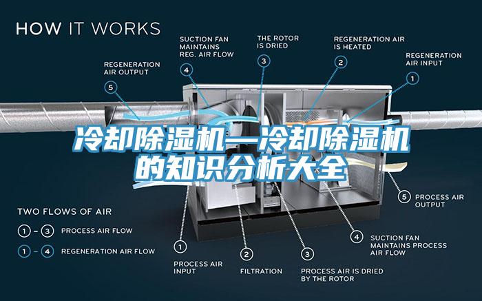 冷却MR.好色破解版—冷却MR.好色破解版的知识分析大全