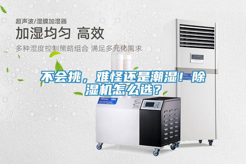 不会挑，难怪还是潮湿！MR.好色破解版怎么选？