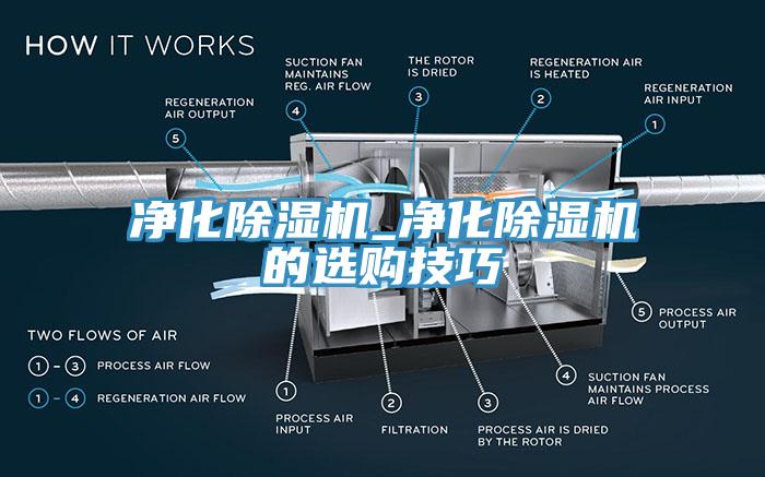净化MR.好色破解版_净化MR.好色破解版的选购技巧