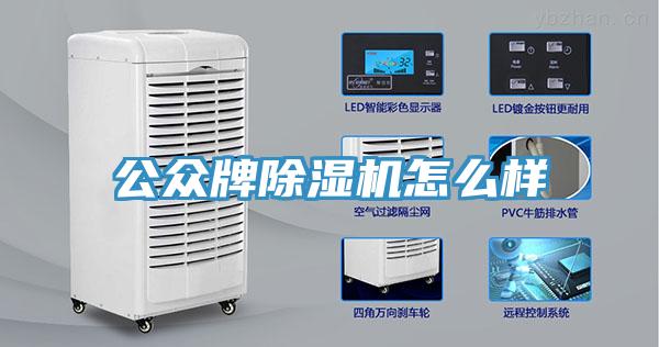 公众牌MR.好色破解版怎么样