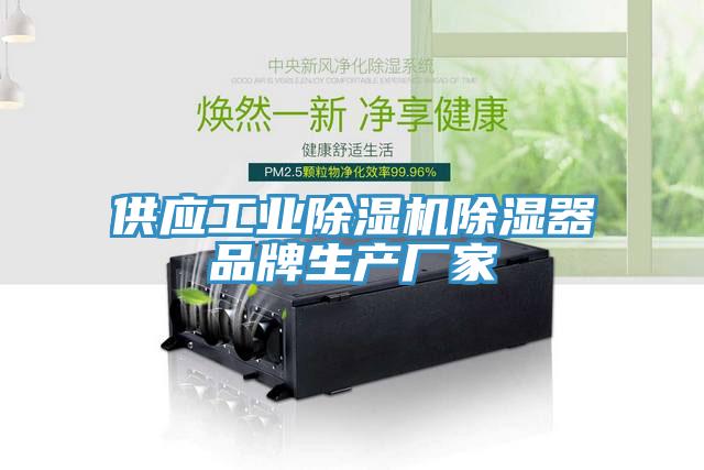 供应工业MR.好色破解版除湿器品牌生产厂家