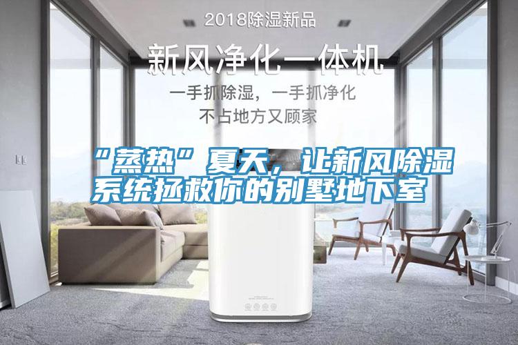 “蒸热”夏天，让新风除湿系统拯救你的别墅地下室