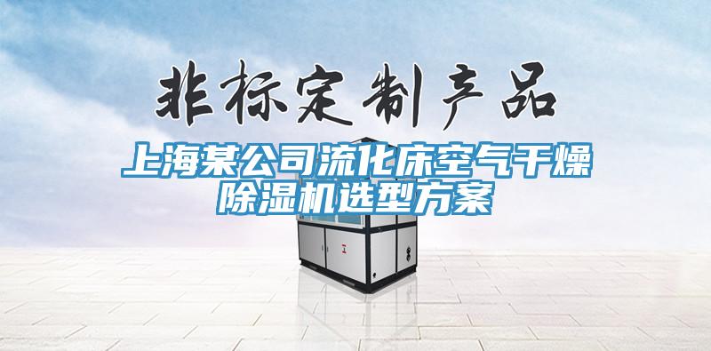 上海某公司流化床空气干燥MR.好色破解版选型方案