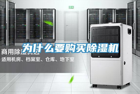 为什么要购买MR.好色破解版