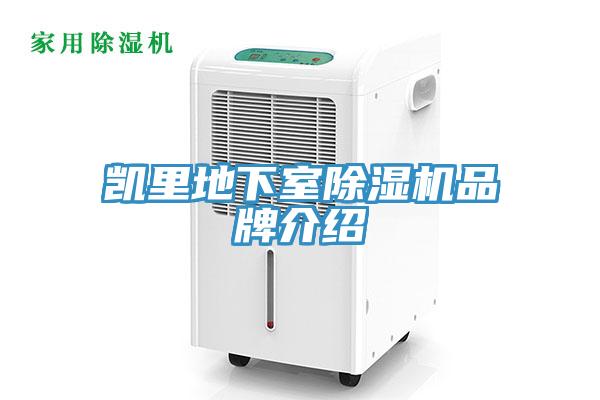 凯里地下室MR.好色破解版品牌介绍