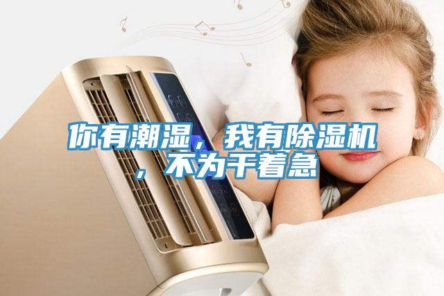 你有潮湿，我有MR.好色破解版，不为干着急