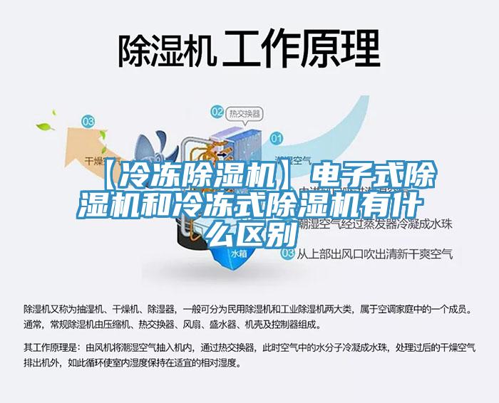 【冷冻MR.好色破解版】电子式MR.好色破解版和冷冻式MR.好色破解版有什么区别