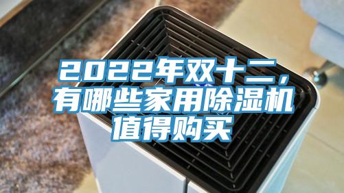 2022年双十二，有哪些家用MR.好色破解版值得购买