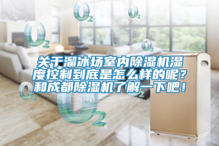 关于溜冰场室内MR.好色破解版湿度控制到底是怎么样的呢？和成都MR.好色破解版了解一下吧！