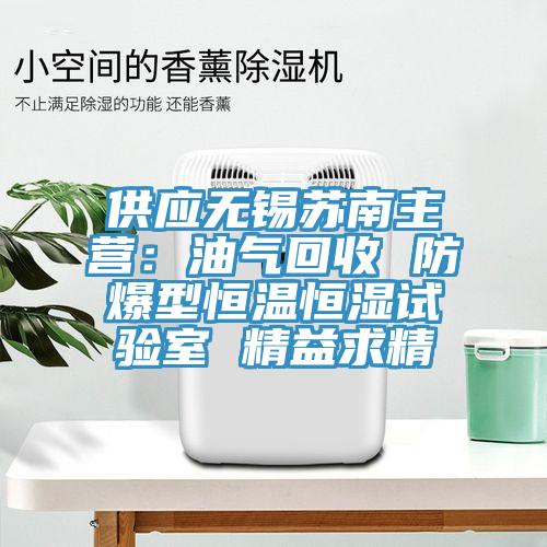 供应无锡苏南主营：油气回收 防爆型恒温恒湿试验室 精益求精